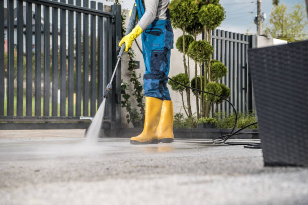 Best Sidewalk and Walkway Cleaning  in River Ridge, LA